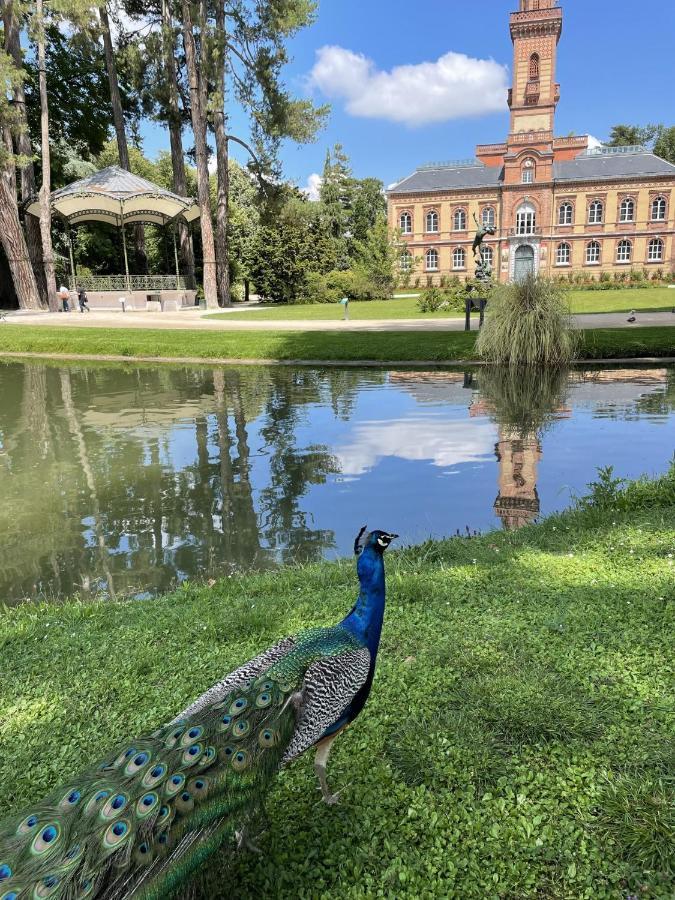 Charmant T2 Avec Grande Terrasse Quartier Jardin Massey Tarbes Bagian luar foto